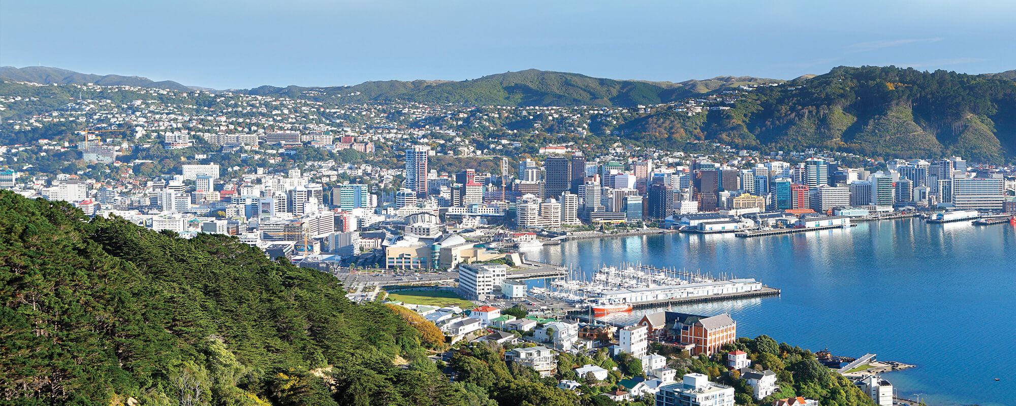 wellington