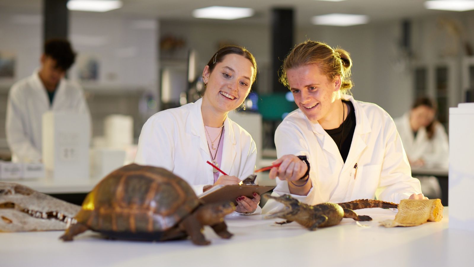 Two students in a lab pointing at a specimen of a turtle.