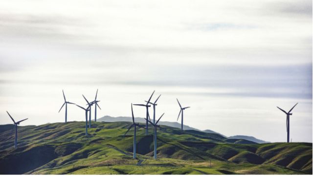 Wind turbines speard across the top of a green hill beneath a grey sky.