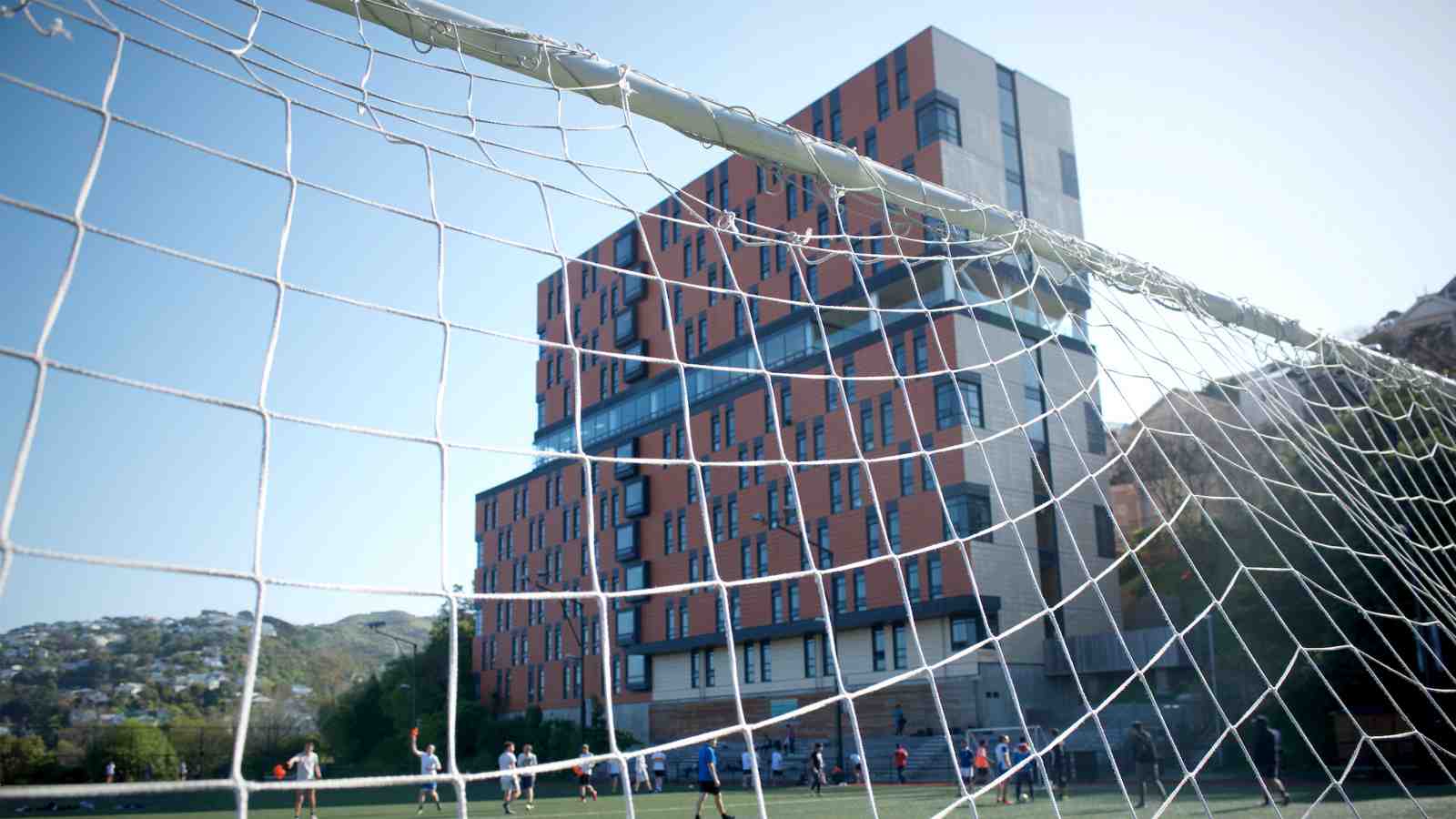 View of Te Puni from Boyd Wilson field