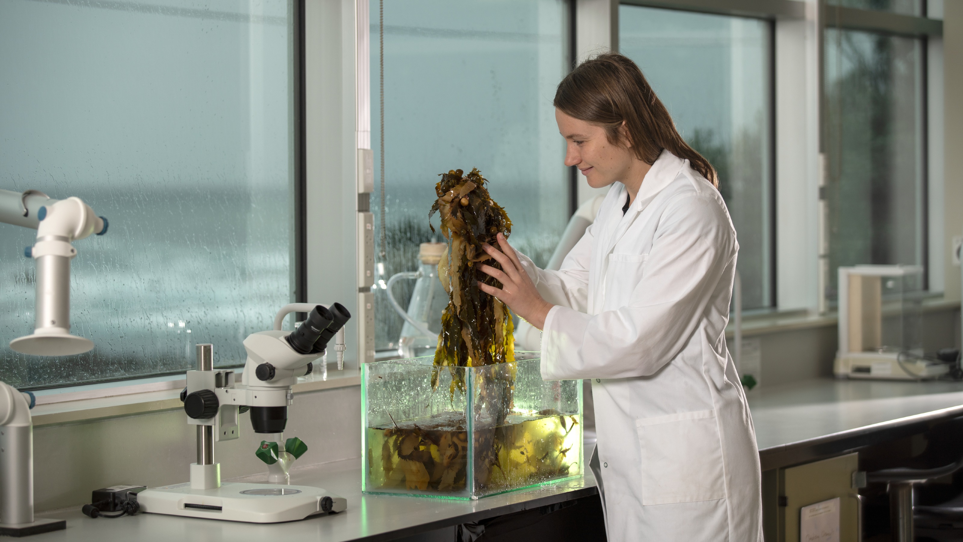 Master's student Lisa Wolf examines seaweed