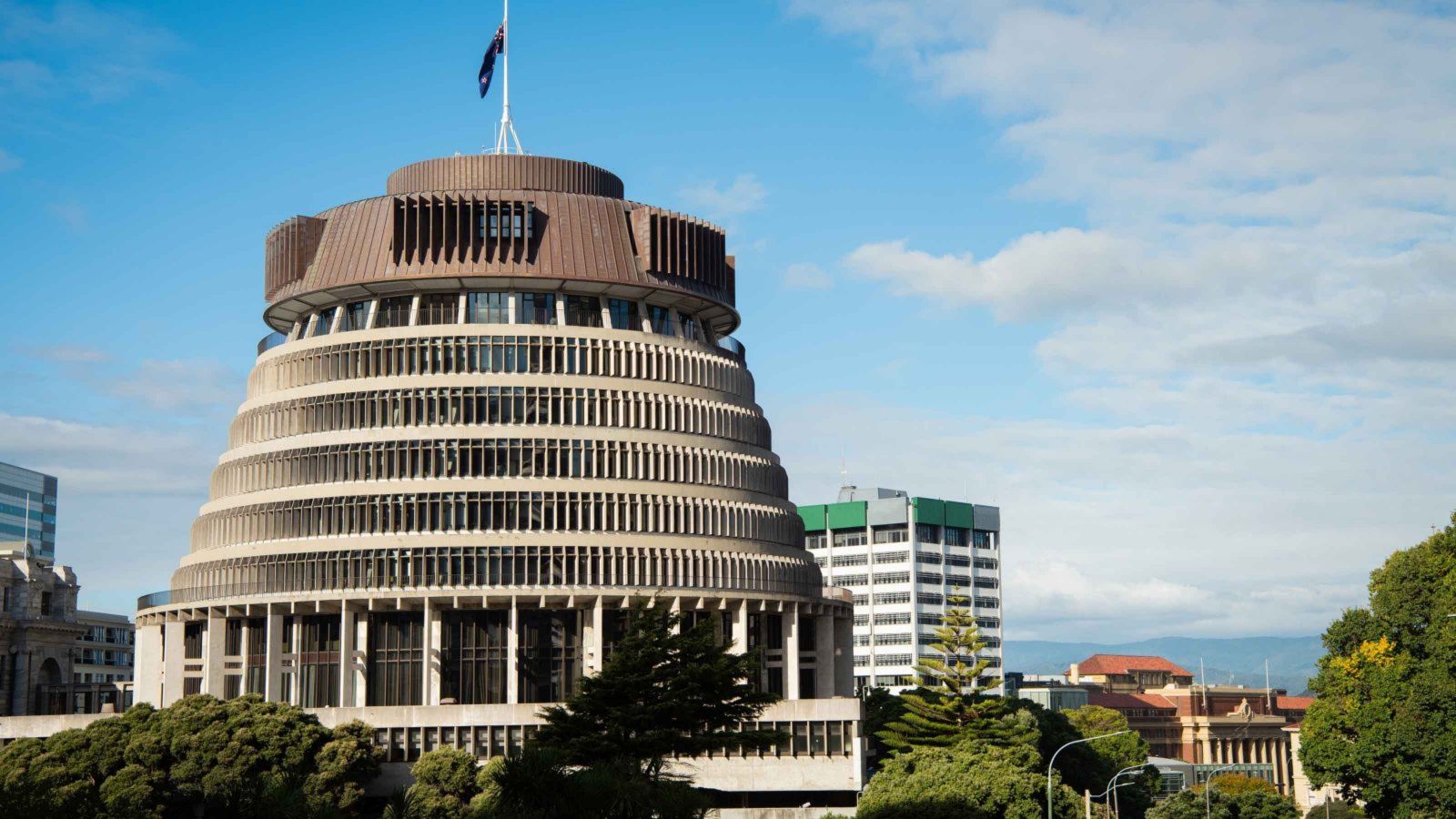 A view of the beehive.