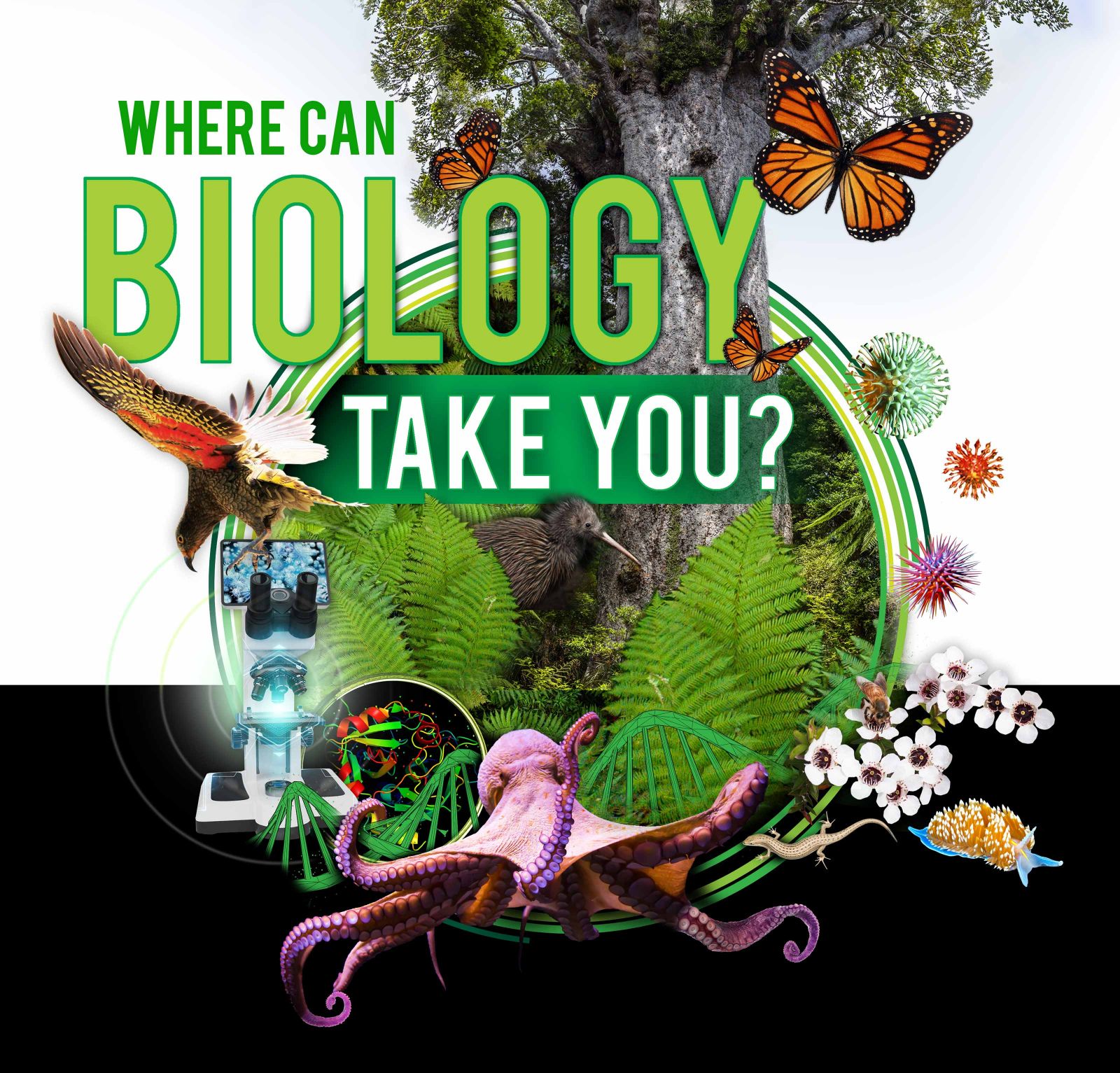 biology poster