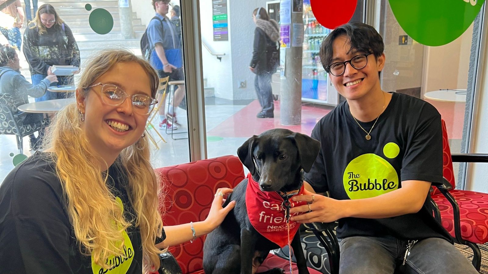 A small black dog with two smiling Bubble leaders.