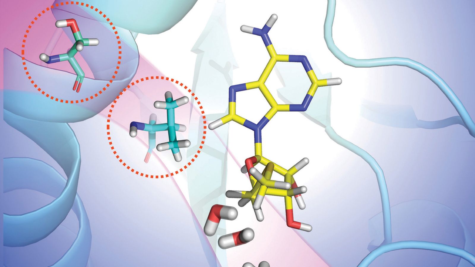 human-therapeutics