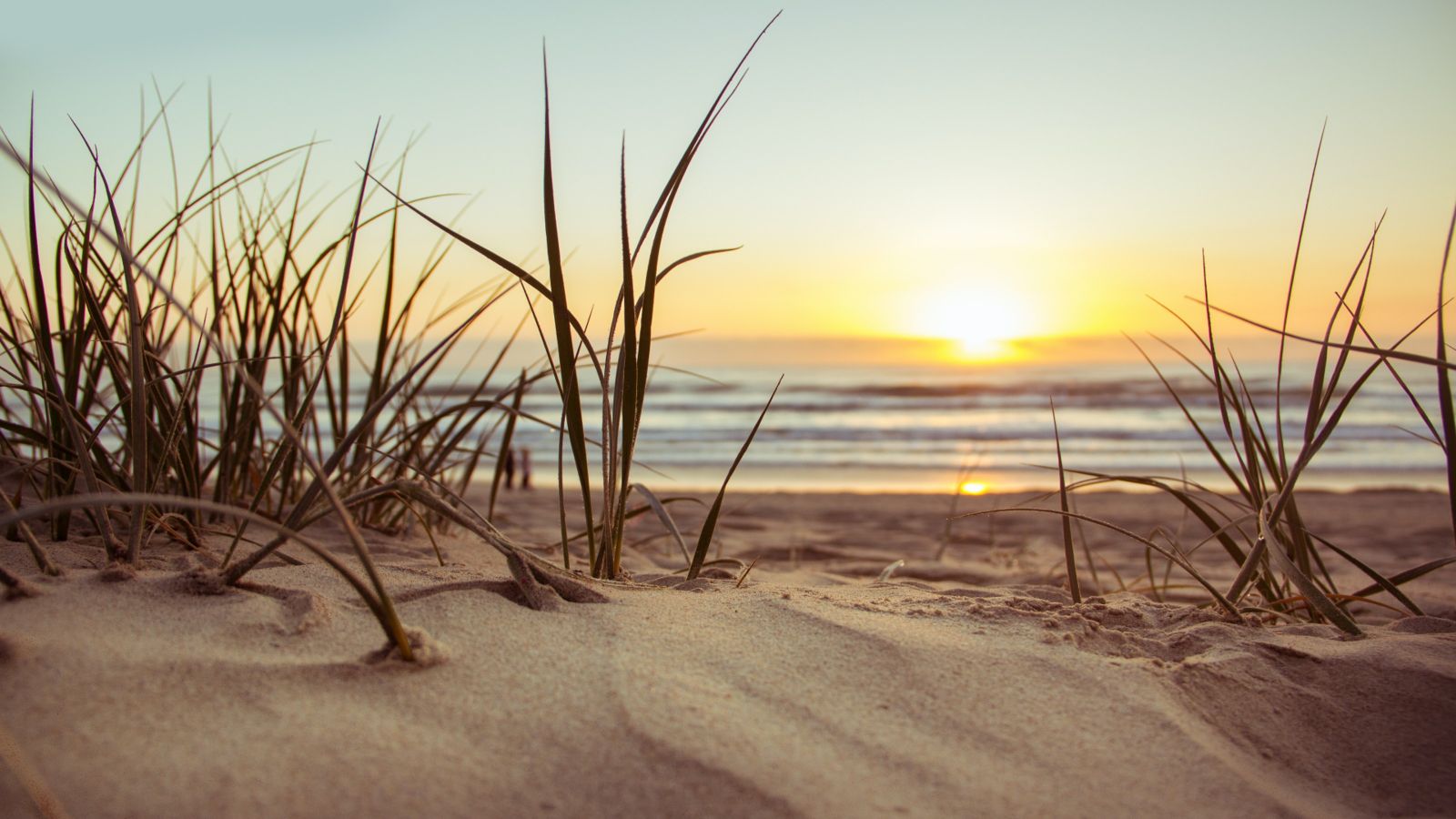 Beach at sunset 