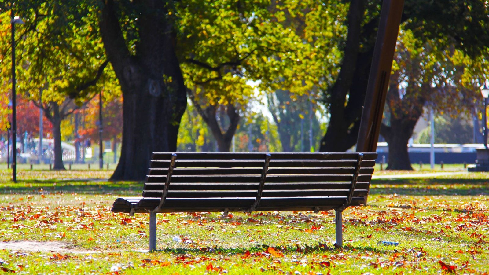 Bench in park