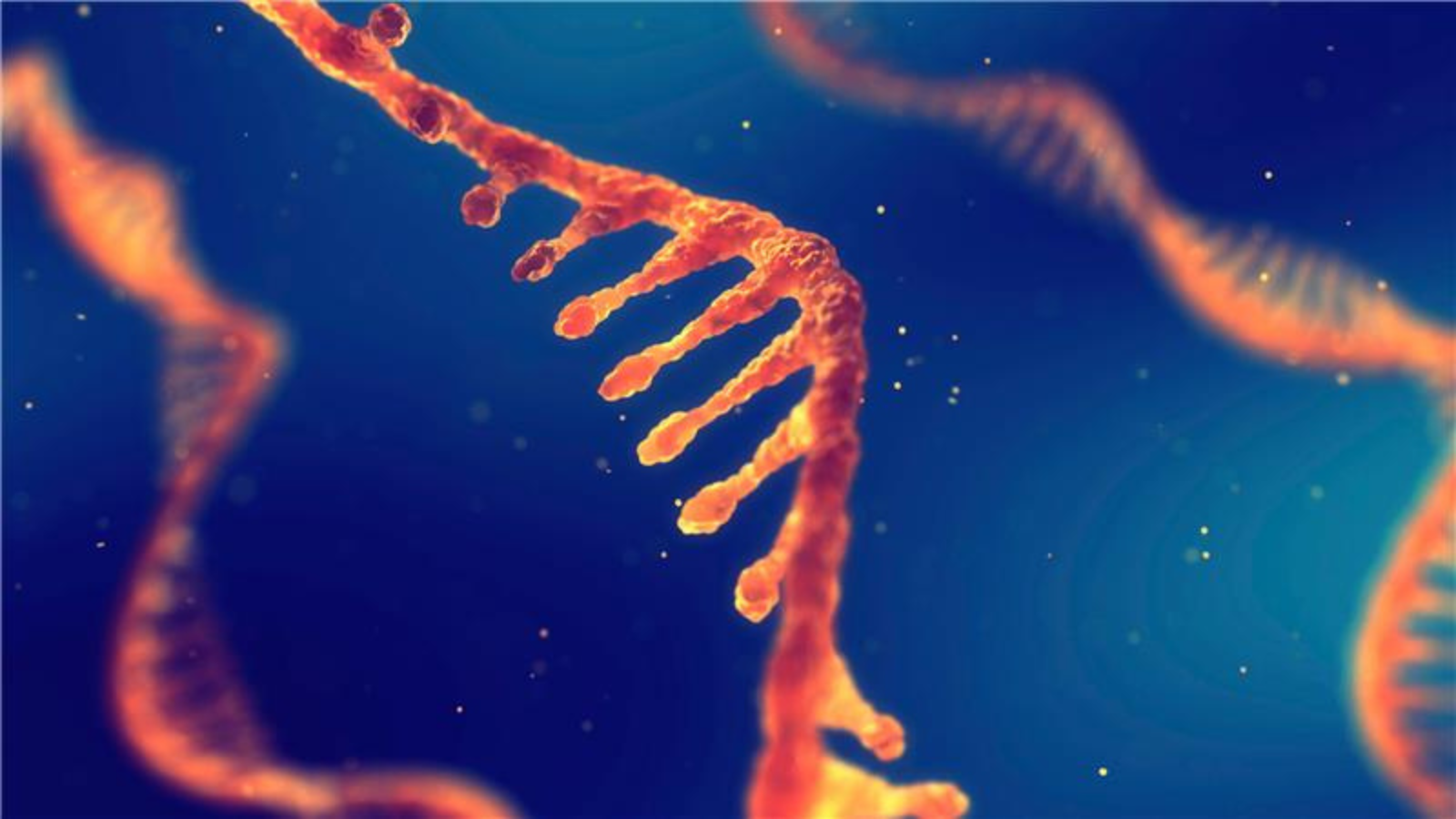 A strand of RNA on a blue background