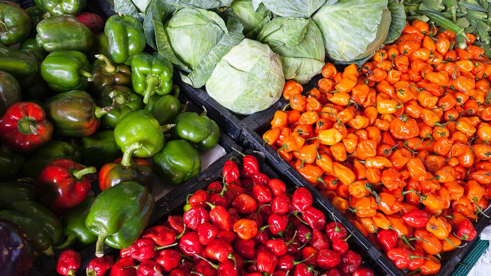 Capsicums and cabbages 