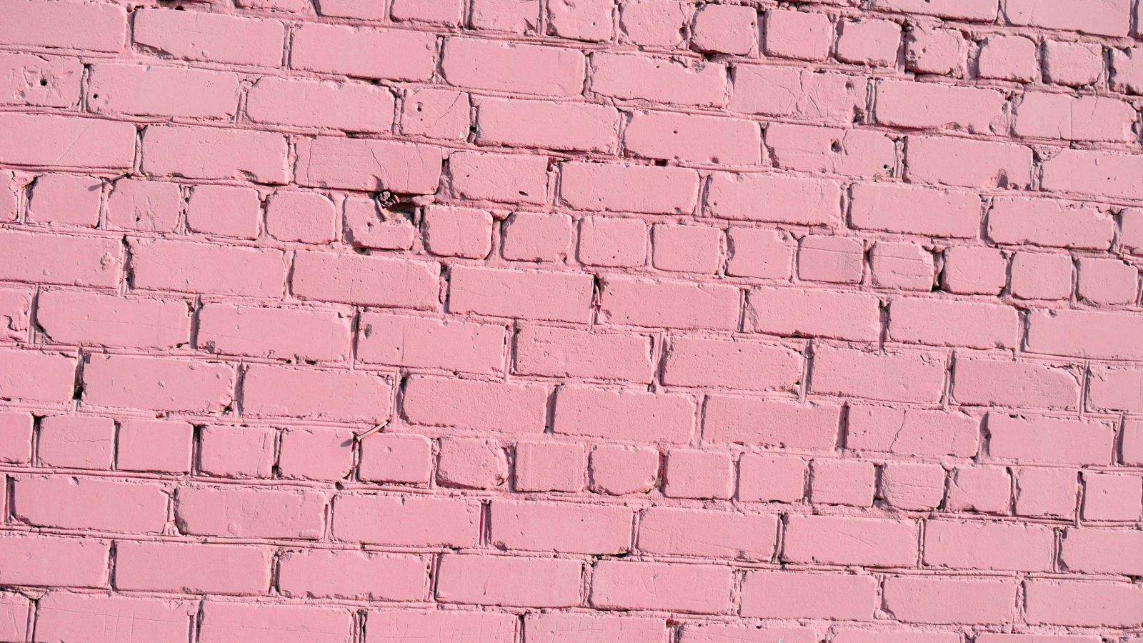 Pink brick wall