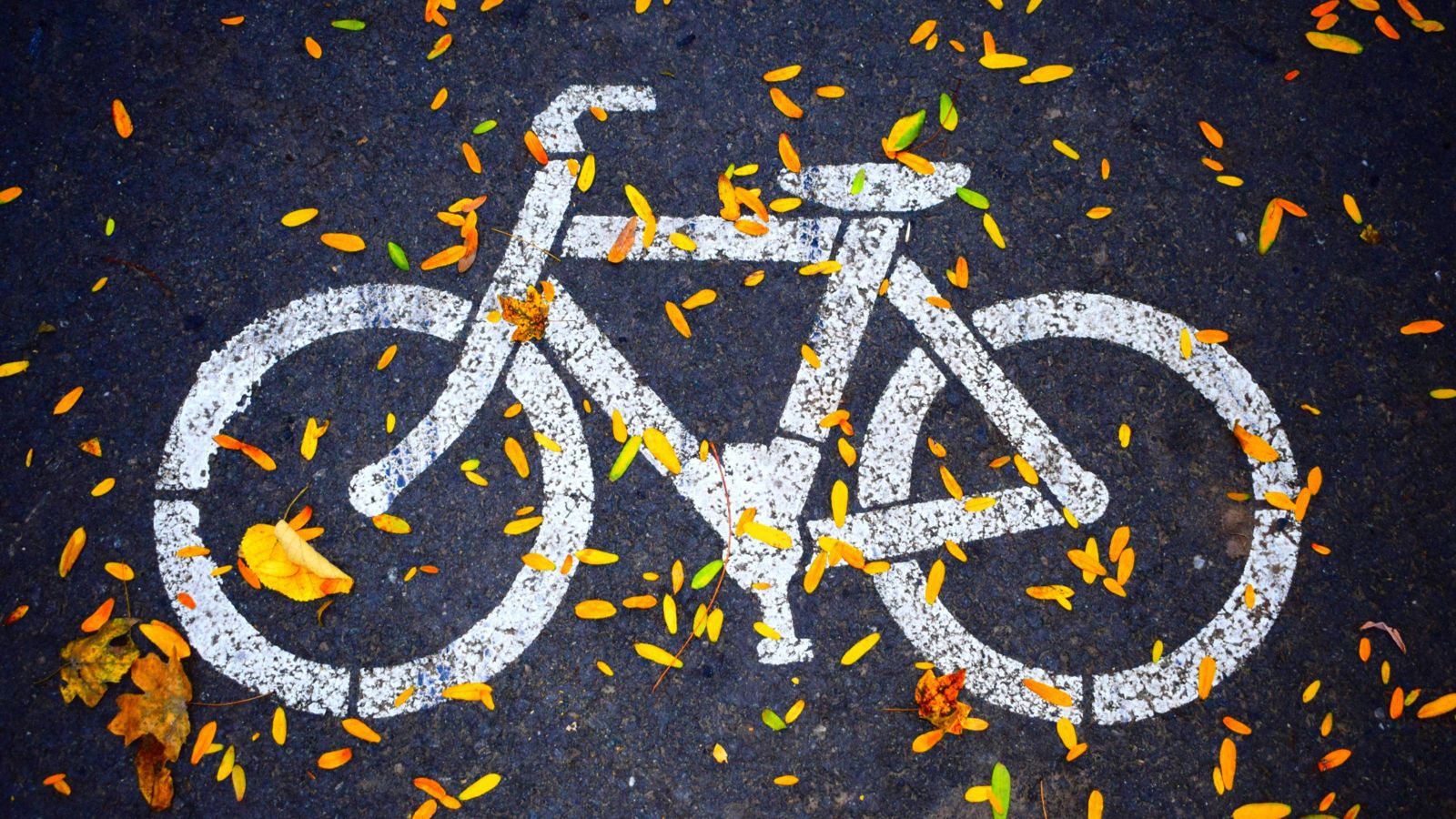 Painted white bicycle on road 