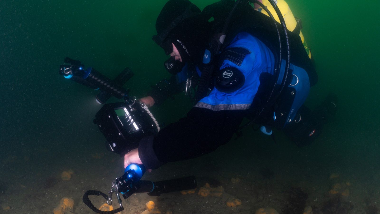 Diver with camera filming a sponge bed underwater 