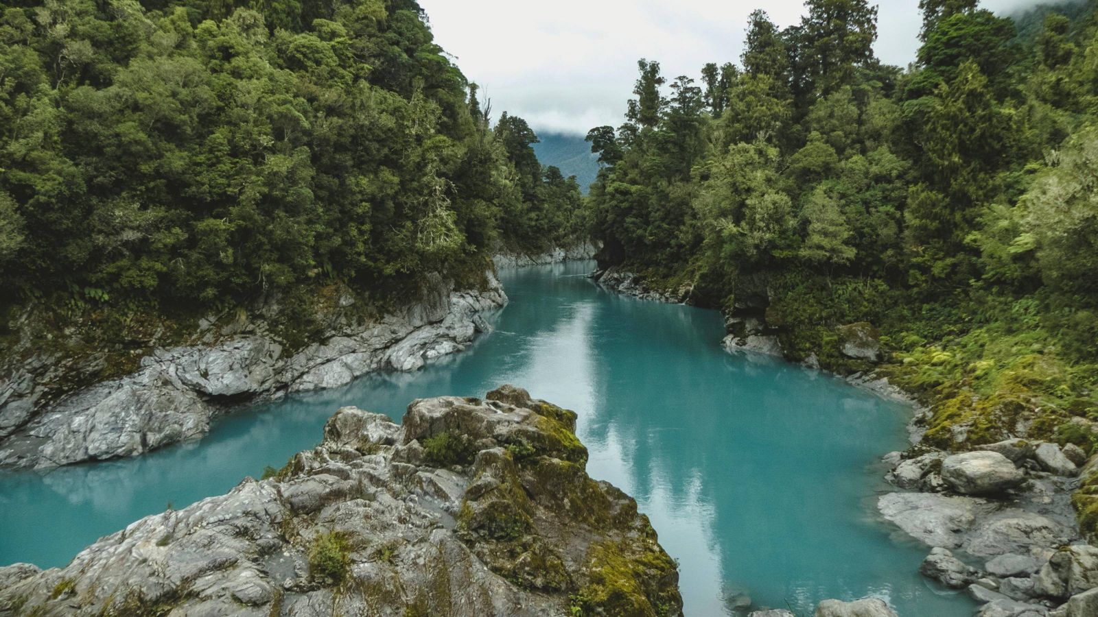 View of river winding through forest 