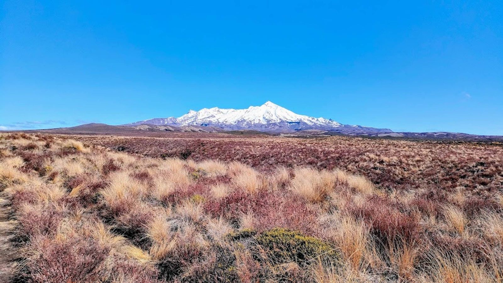 View of Tongariro National Park with snow-capped mountain in the background and blue sky above 