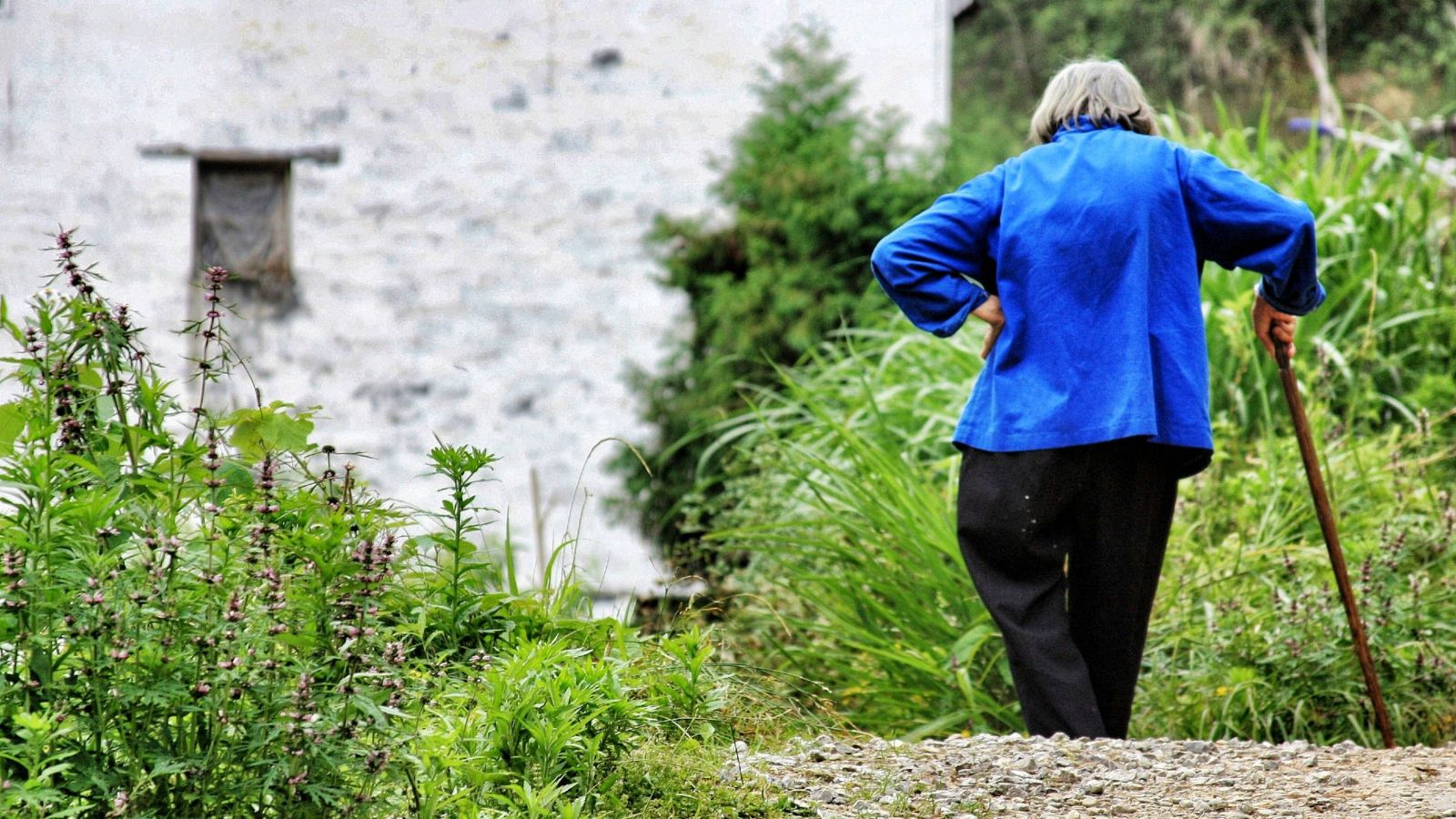 Woman with walking stick on path 