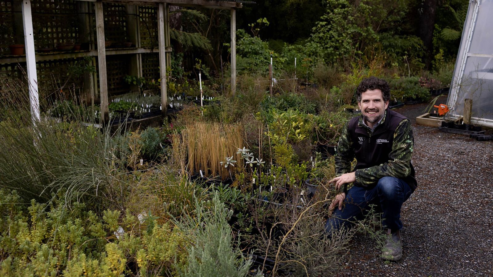 Tim Park at Ōtari Native Botanic Garden and Wilton's Bush Reserve. Image credit: Wellington City Council.