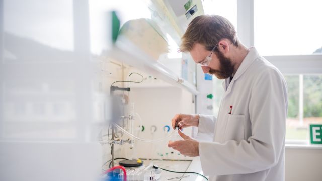 A researcher works in a university lab