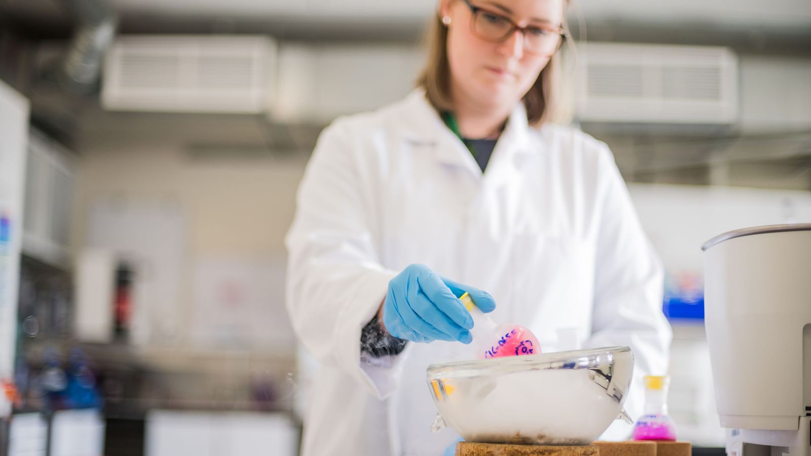 A woman works in the lab. Image copyright Victoria University of Wellington.