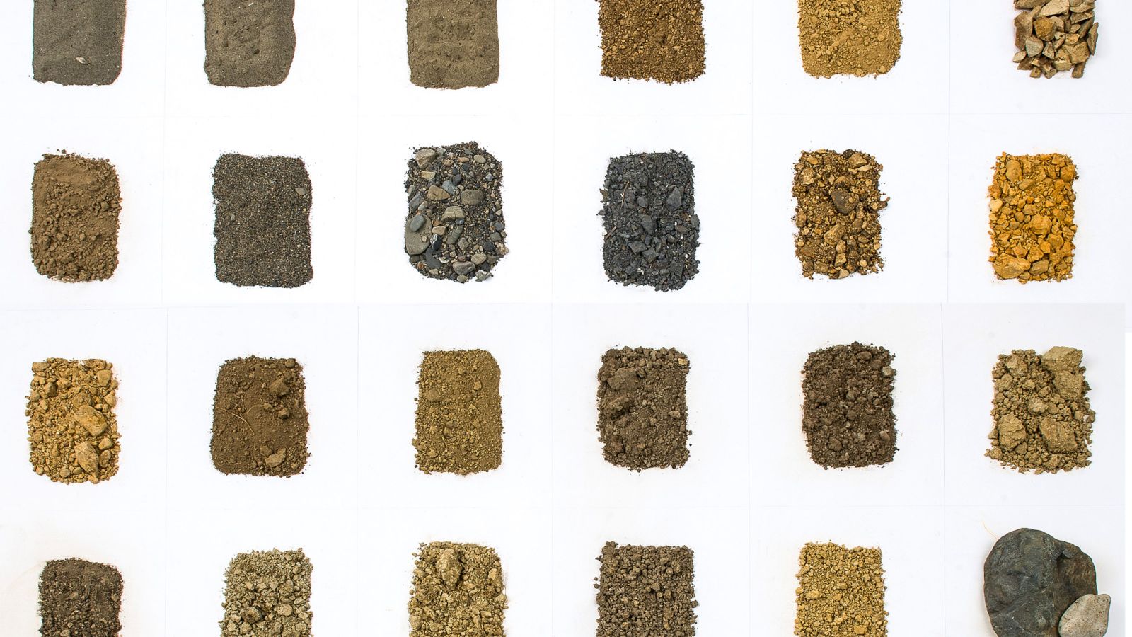 Image of soil samples from exhibition 'A Site to Behold'